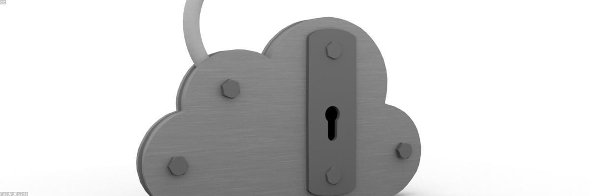 Wildcard SSL Certificate บน Shared Hosting